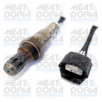 Oxygen Sensor